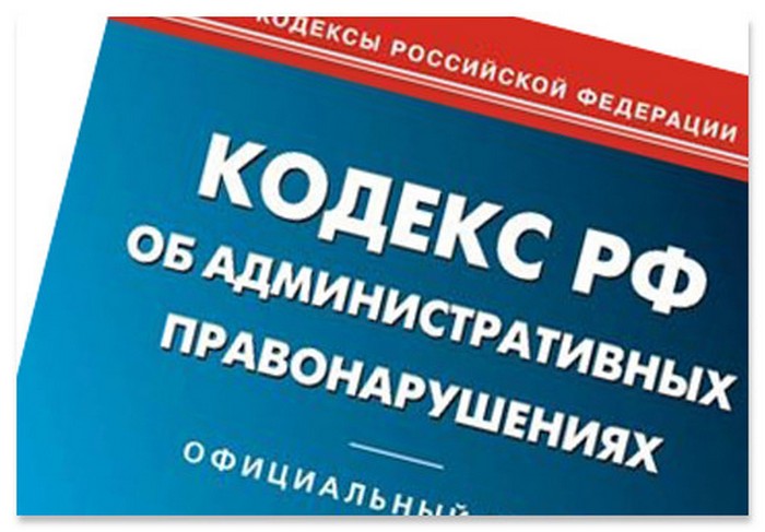 Не только наказание, но и воспитание