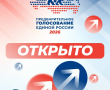 Предварительное голосование