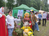 День Костромского села