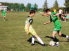 Фестиваль детского дворового футбола