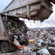 Генеральная уборка» для мусорного полигона