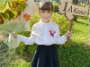 шкла