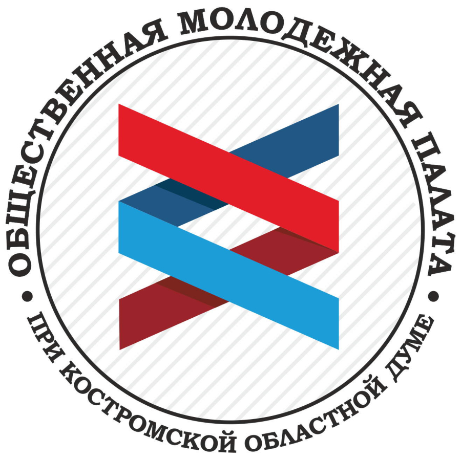 Формирование нового состава молодежной палаты