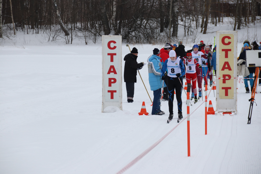 Призовой фонд на лыжные гонки