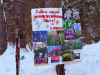 Весенний праздник на лыжне
